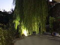 scenari luce